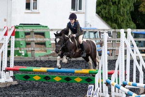 Class 2 -  Fences not above 2'